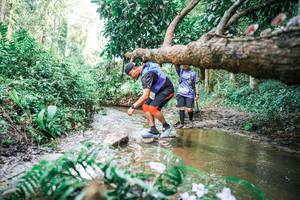 BIB: 
                            <button type="button" onclick="openModal(25517955)" class="btn btn-primary btn-sm float-right btn-popup" data-toggle="modal" data-target=".modal-high-quality">
                        <i class="fas fa-shopping-cart"></i> Add to Cart
                    </button>
                                            <button type="button" onclick="isThisMe(25517955, true)" class="btn btn-success btn-sm float-right btn-popup btn-isme hidden" data-toggle="tooltip" data-placement="bottom" title="นี่คือรูปของคุณใช่ไหม คลิกที่นี่เพื่อเอาเข้าอัลบั้ม">
                        <i class="fas fa-plus"></i> Add to album
                    </button>
                    <button type="button" onclick="isThisMe(25517955, false)" class="btn btn-warning btn-sm float-right btn-popup btn-isnotme hidden">
                        <i class="fas fa-ban"></i> Remove from album
                    </button>